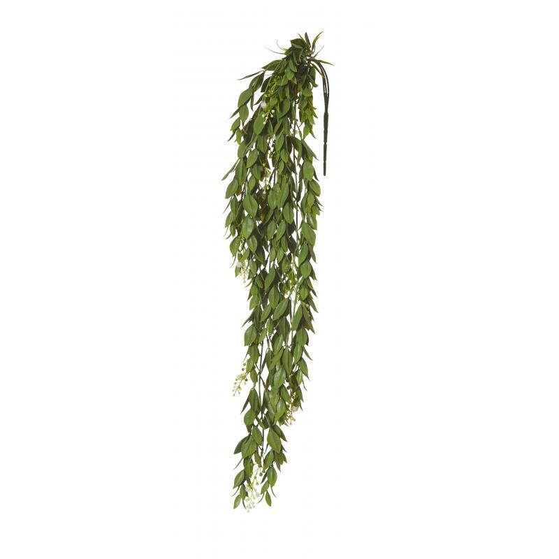 Rogue Flowering Trailing Hanging Bush Green 18x10x66cm