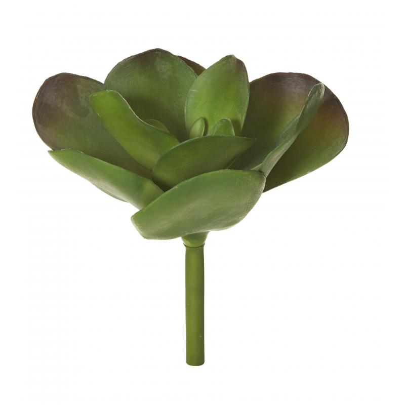 Rogue Flapjack Succulent Green 21x21x27cm