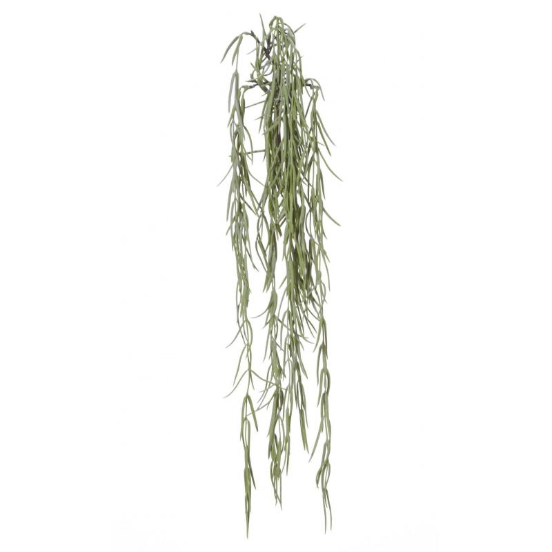 Rogue Hoya Green | 20x7x53cm