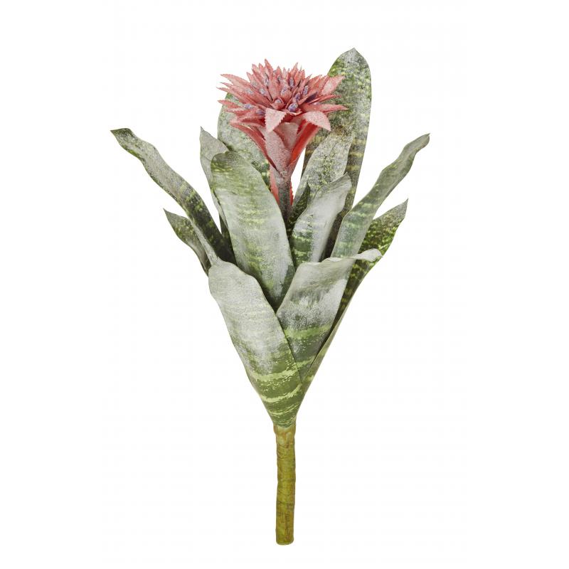Rogue Bromeliad Plant 35x35x47cm | Pink/Green
