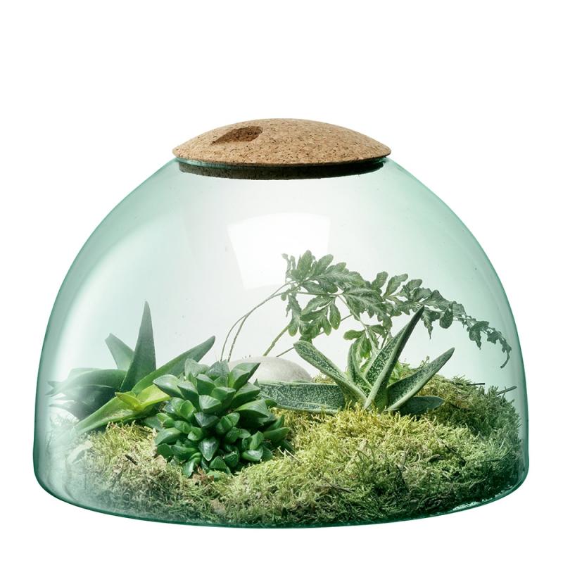 Lsa Canopy Closed Garden H22cm 