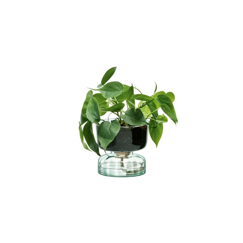 LSA Canopy Self Watering Planter | Clear