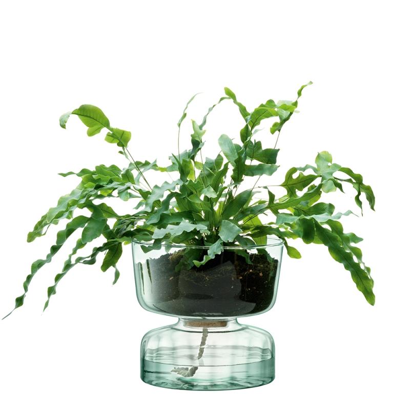 LSA Canopy Self Watering Planter | Clear