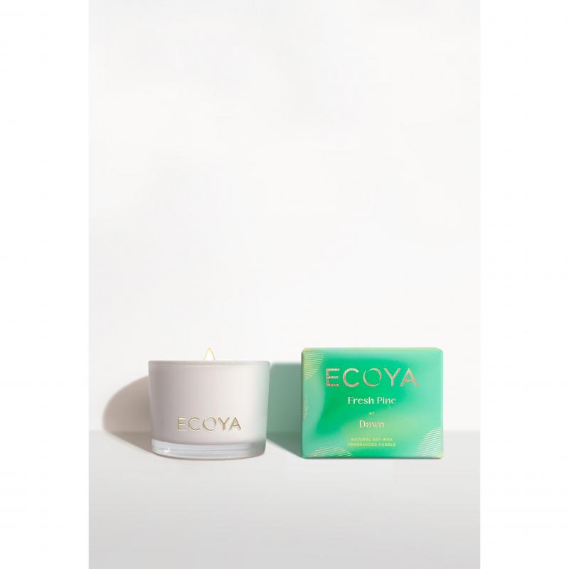 Ecoya Fresh Pine Monty Candle Christmas Limited Edition