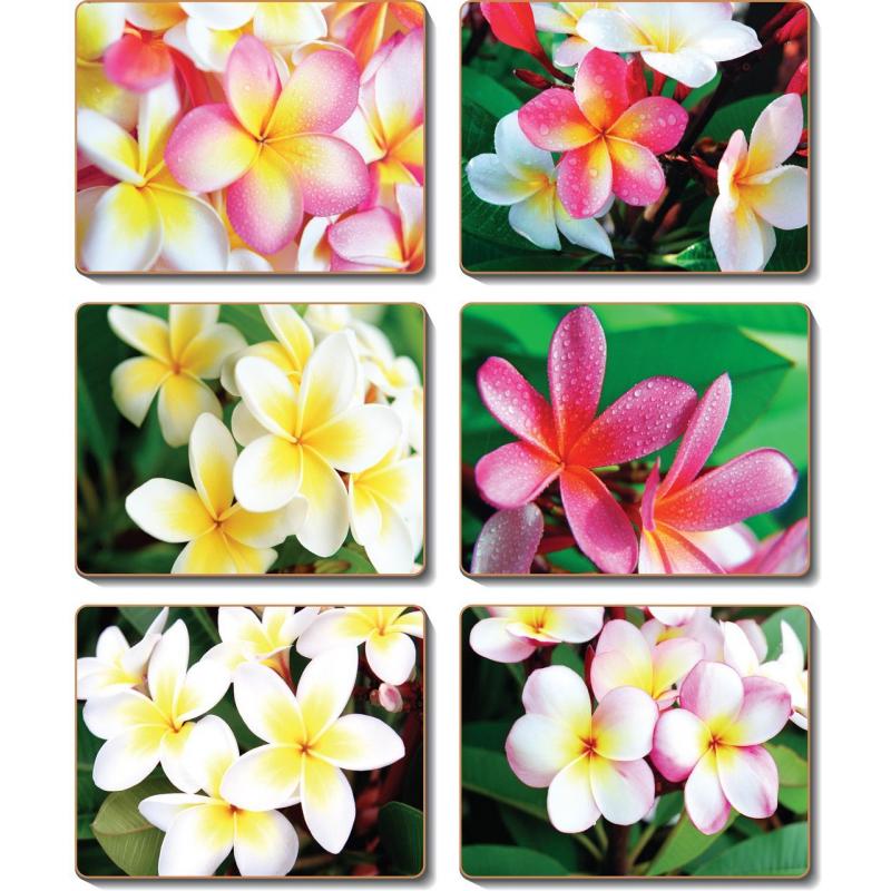 Cinnamon Frangipani Garden Coasters