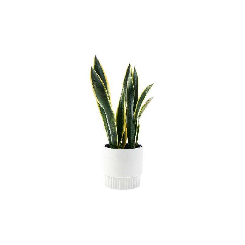 Linen House Rivera Planter Pot 19cm | Grey