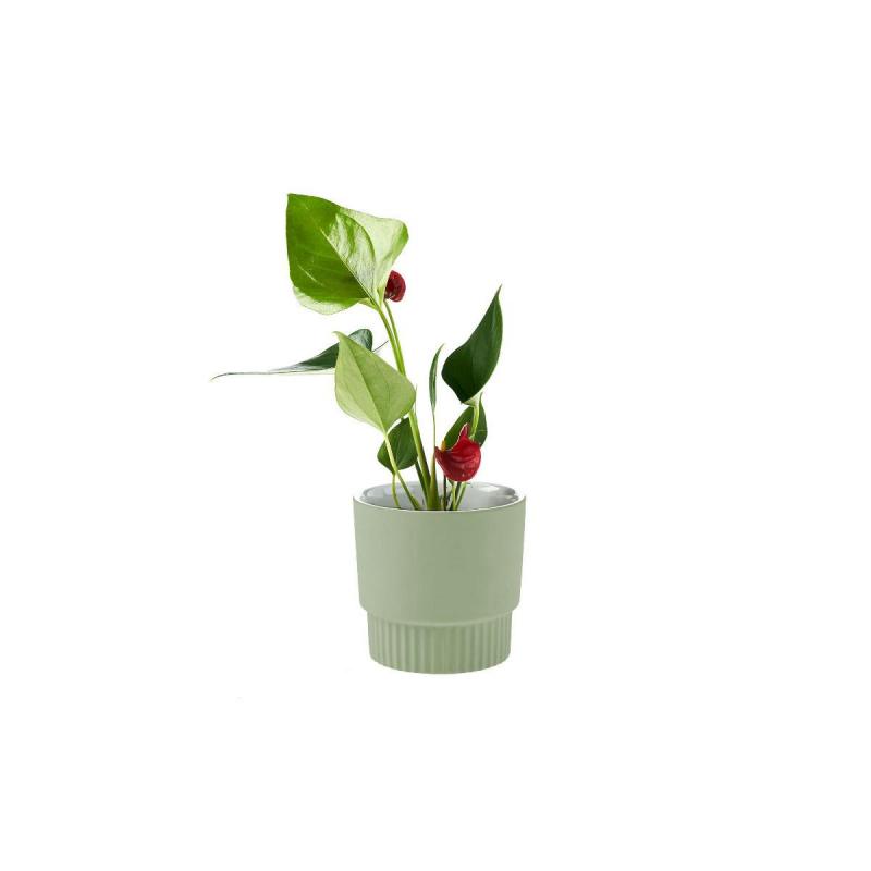 Linen House Rivera Planter Pot | Mint