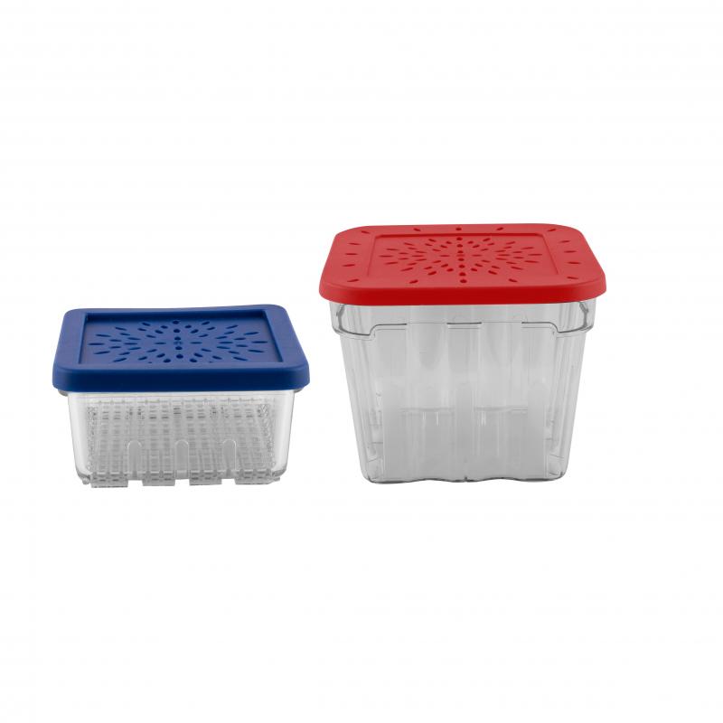 Avanti Berry Baskets 2 Piece Set