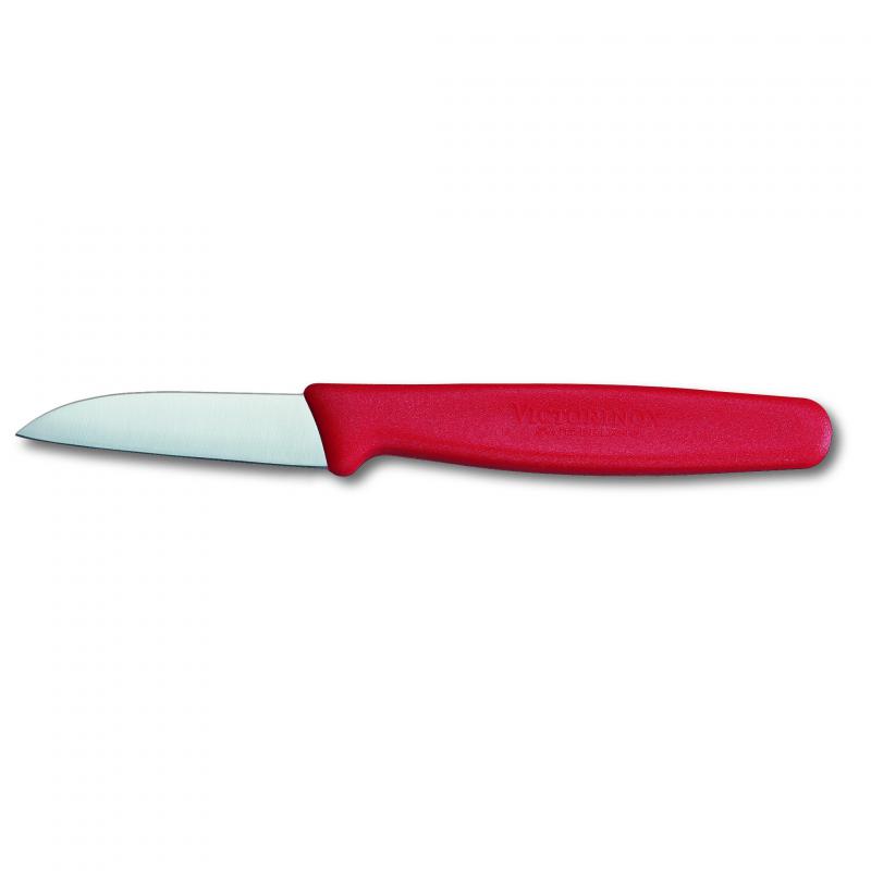 Victorinox Paring Knife Straight Blade Nylon 6cm | Red