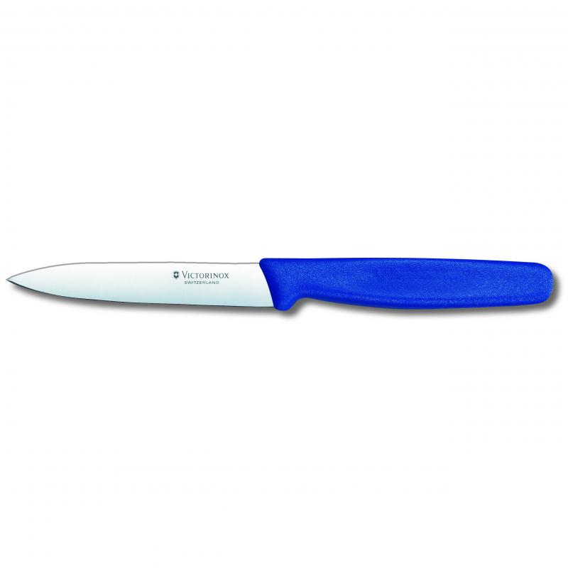 Victorinox Paring Knife Pointed Blade Nylon 10cm | Blue