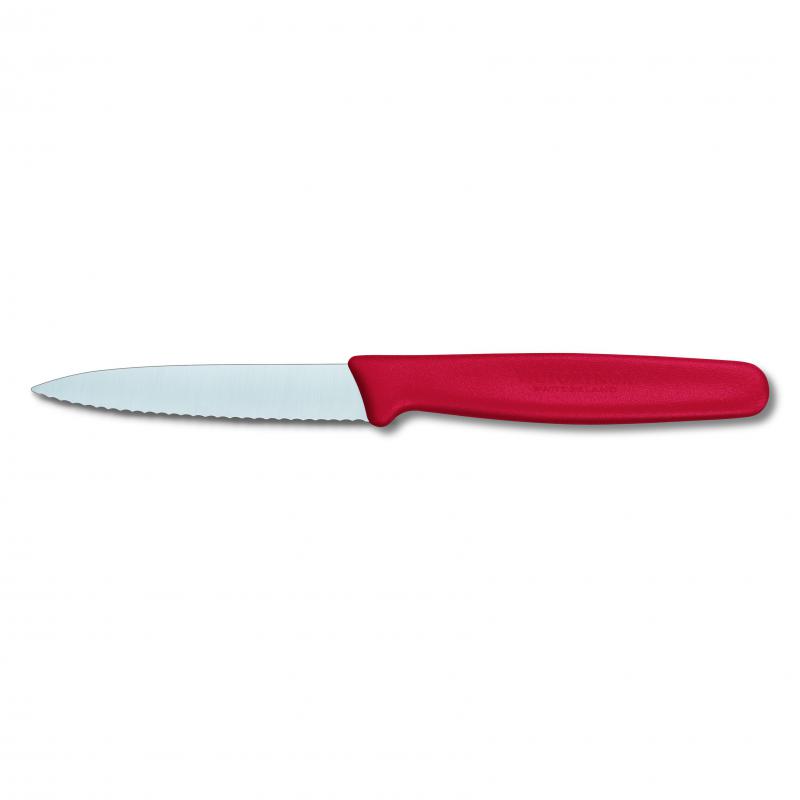 Victorinox Paring Knife Pointed Blade Wavy Nylon 10cm | Red