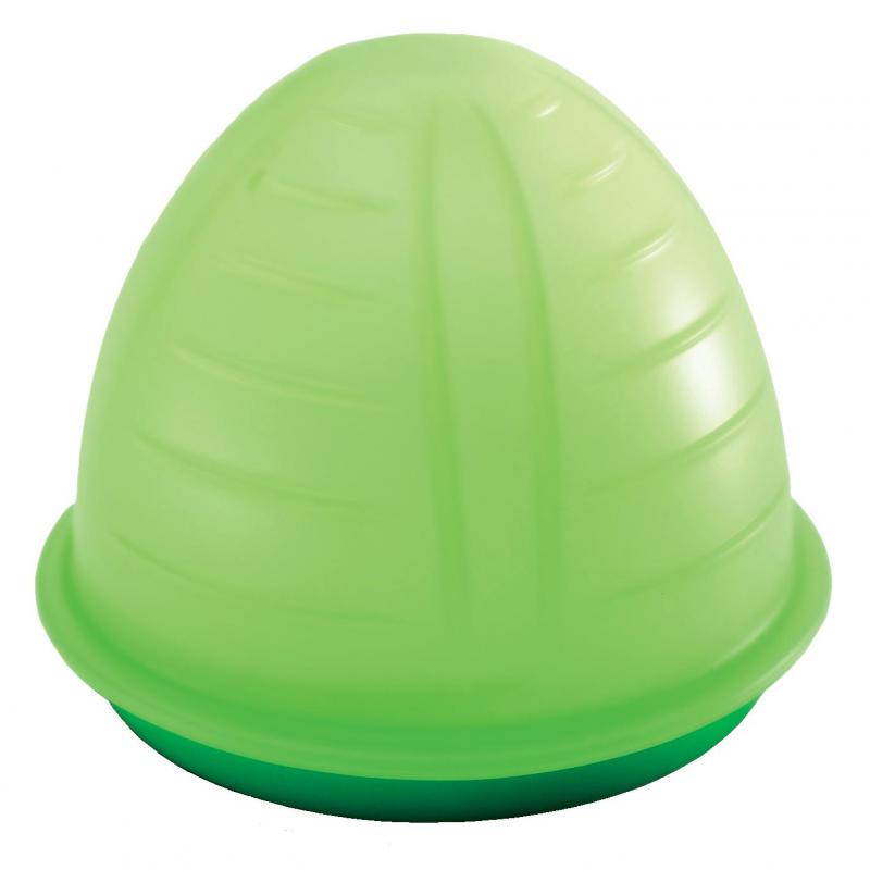 FUSION BRANDS Citrus Pod | Green