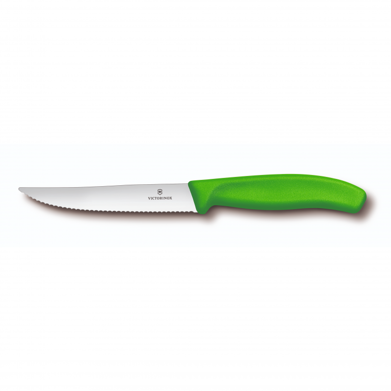 Victorinox Swiss Classic Gourmet Steak Knife 12cm | Green