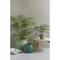 Rogue Areca Palm Green 65cm