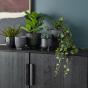 Rogue Alina Pot Black 17cm