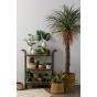 Rogue Lola Pot Cream/Natural 26x26x19cm