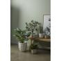 Rogue Riley Planter White 35x35x38cm