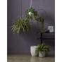 Rogue Riley Planter White 35x35x38cm