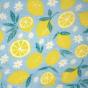 Bambury Blanket Hoodie | Lemon Squeezy