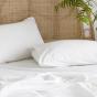 Bambury King Single Temple Organic Cotton Sheet Set Ivory