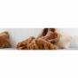 Bambury Luxury Faux Fur Hot Water Bottle | Rosewater