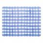 Ecology Ripe Placemats Set of 4 | Blue Gingham