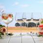 Ecology Classic Gin Glass Set of 4 | 780ml