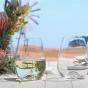 Ecology Stemless White Wine Glass 460ml, Set of 4 Gift boxed