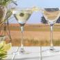 Four Pillar Gin Martini Gift Set