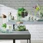 Lsa Canopy Closed Garden H22cm 