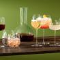 LSA International Borough Champ Tulip Glass | Set of 4