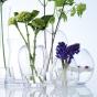 LSA Flower Table Bouquet Vase 17cm | Clear