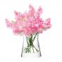 LSA Flower Garden Posy Vase 13cm | Clear