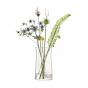 LSA Gio Line Lantern/Vase 29cm | Clear