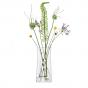 LSA Gio Line Lantern/Vase 38cm | Clear