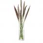 LSA Wicker Vase 20cm | Clear