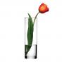 Pasabahce Botanica Cylinder Vase | 26.5cm
