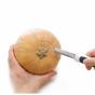 Zyliss 3-in-1 Pumpkin Tool