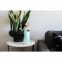 Soma Water Bottle Glass 500ml | Mint