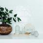Ecoya Wild Sage & Citrus Laundry Dryer Ball Set