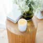 Ecoya Fig & Tomato Leaf Madison Candle Spring Limited Edition