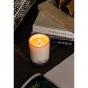 Ecoya Sage & Cedar Madison Candle Autumn Limited Edition