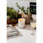 Ecoya Limited Edition: Bergamot & Basil Madison Candle