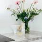 Ecoya Fig & Tomato Leaf Fragranced Diffuser Spring Limited Edition