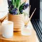 Ecoya Lime Sorbet & Pink Pepper Fragranced Diffuser Summer Limited Edition