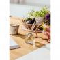 Ecoya Saffron Fragranced Diffuser Autumn Limited Edition