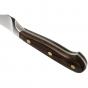 Wusthof Crafter Carving Knife 20cm             