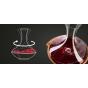 Vacu Vin Swirling Carafe