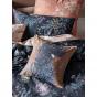 Linen House Acacia Cushion 50x50cm | Garden