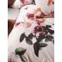 Linen House Julieta Pearl Quilt Cover Set | Super King